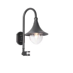 Vonkajšia nástenná lampa čierna IP44 vrátane detektora pohybu - Daphne